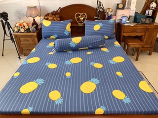 Drap cotton Hàn Quốc