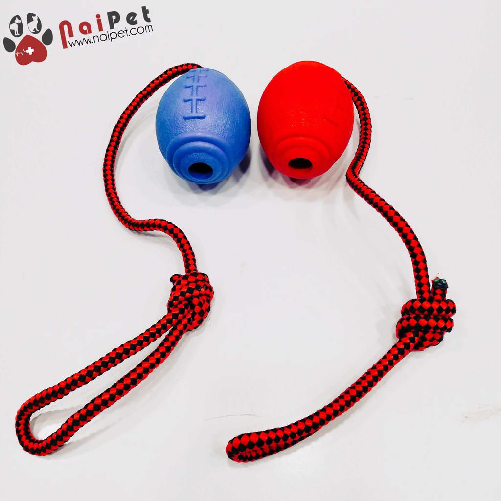 Đồ Chơi Dây Và Bóng Cao Su Hình Bóng Bầu Dục DC004