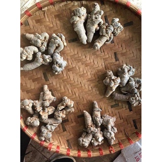 Tam thất khô Tây Bắc