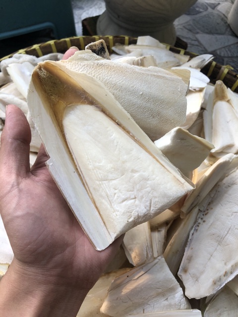 200g nan mực/mai mực bể cho Sóc, Chim Cảnh, Rùa...