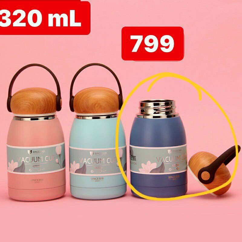 bình giữ nhiệt 320ml