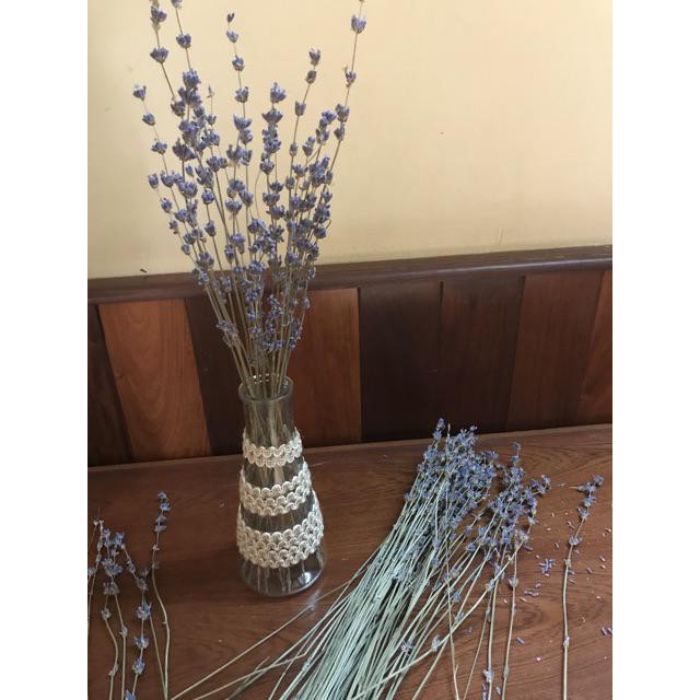 Hoa khô oải hương hàng loại 1 True Lavender Pháp siêu tím - Lẻ 20 cành đẹp