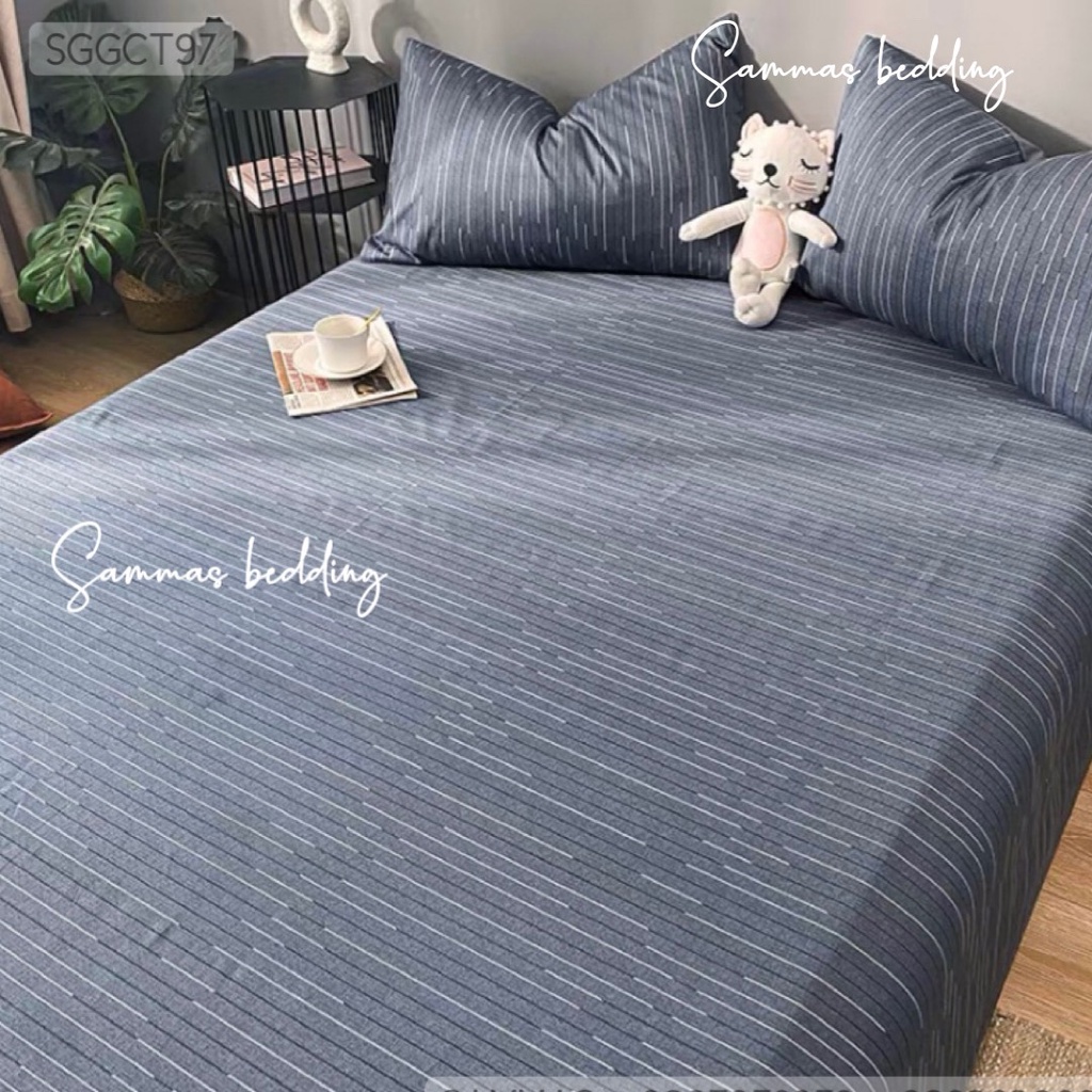 Bộ Chăn Ga Gối Cotton 100%, Drap Thun Trải Giường Kèm Vỏ Gối Thoáng Mát Bốn Mùa