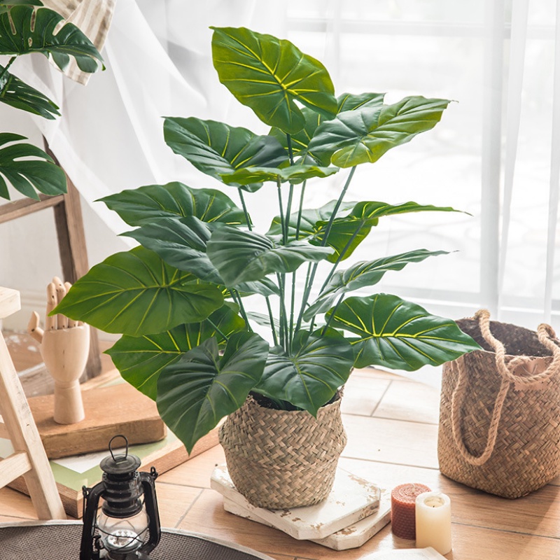 Cây Giả - Cây trầu bà, vạn niên thanh (không kèm chậu) 12 lá cỡ 54 cm trang trí không gian gia đình, văn phòng...