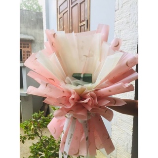 combo 100 cốt