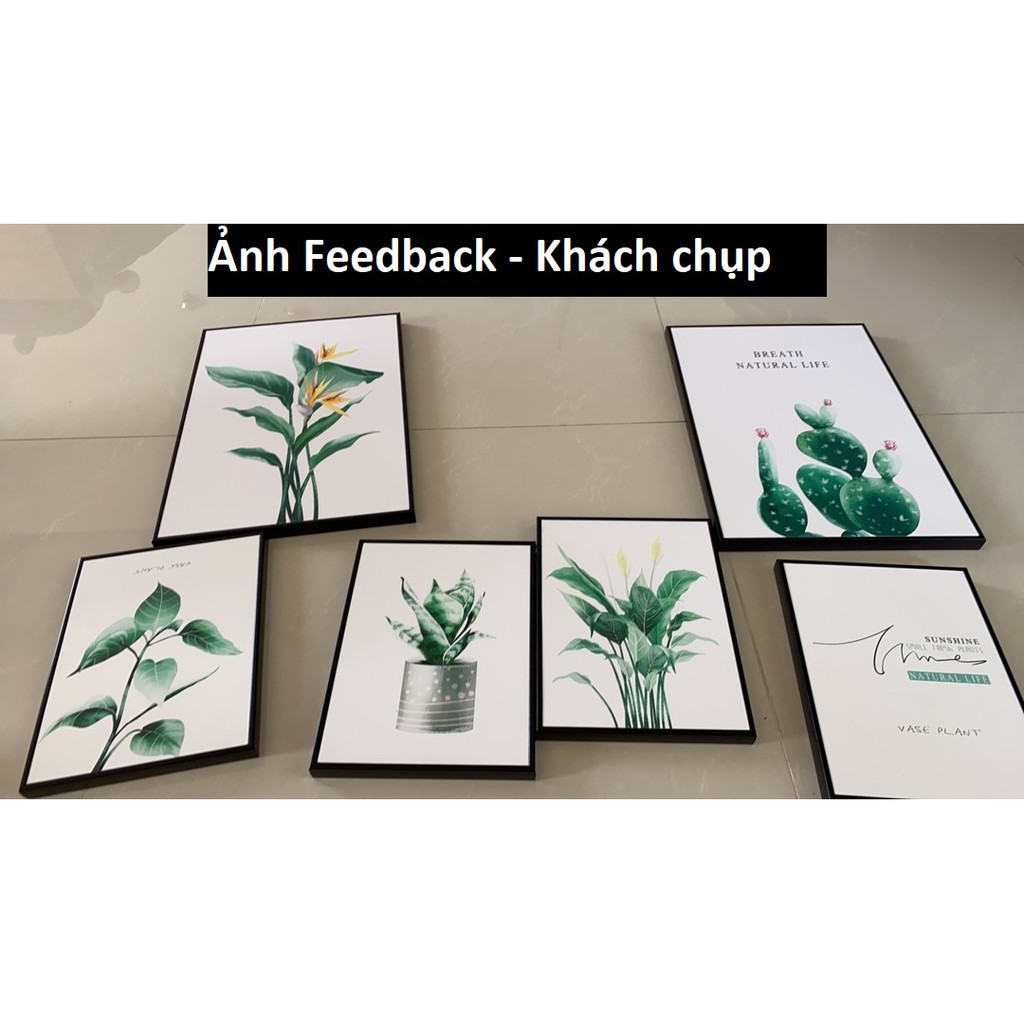 Tranh Canvas Treo Tường, Tranh decor Phòng ngủ,phòng khách,cầu thang đẹp⚡FREE SHIP⚡Bộ 6 hoa lá,biển,giá rẻ