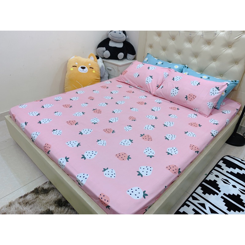 Ga Gối polly các mẫu KuTe