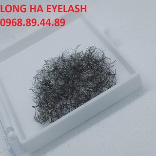 Mi fan 5d, mi volume 5d hộp 1000 fan