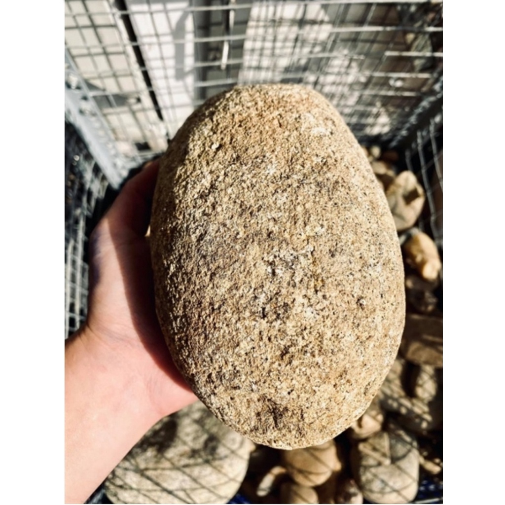 ĐÁ CUỘI - Đá Setup Hồ Thủy Sinh