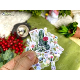 Hộp sticker Watercolor Cactus