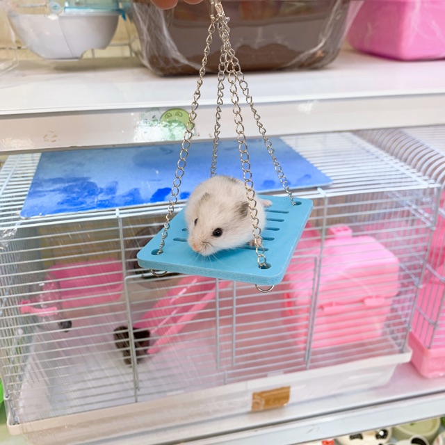 Xích đu cho hamster