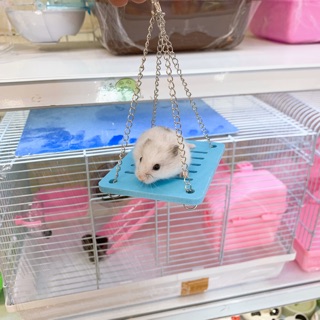 Xích đu cho hamster