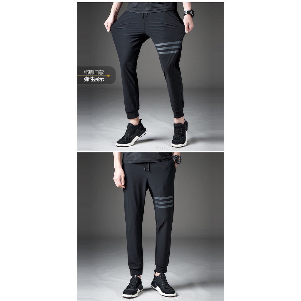 Quần Jogger Gấu 194 thể thao vải co dãn, dày dặn form slimfit | BigBuy360 - bigbuy360.vn