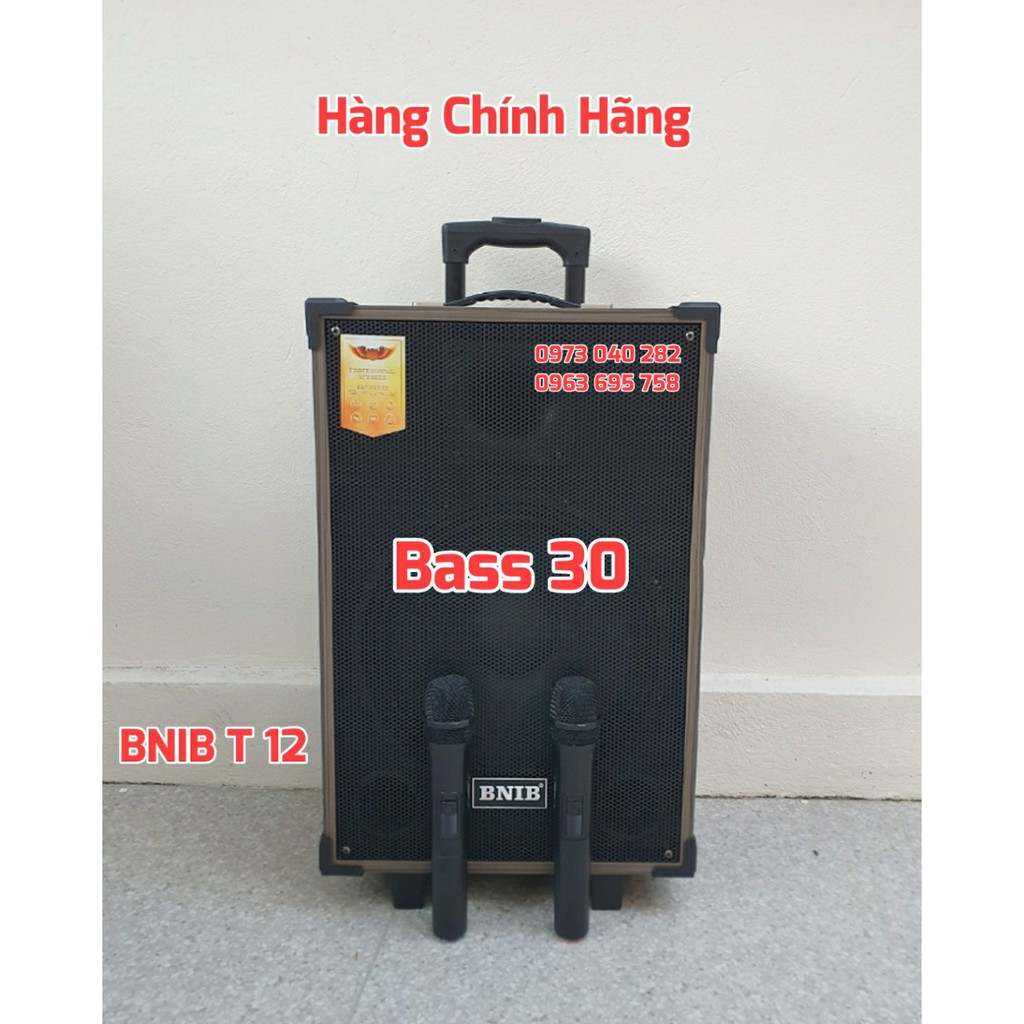 Loa kéo bass 30 có chức năng dùng điện trực tiếp 220v bảo hành 12 tháng BNIB T12