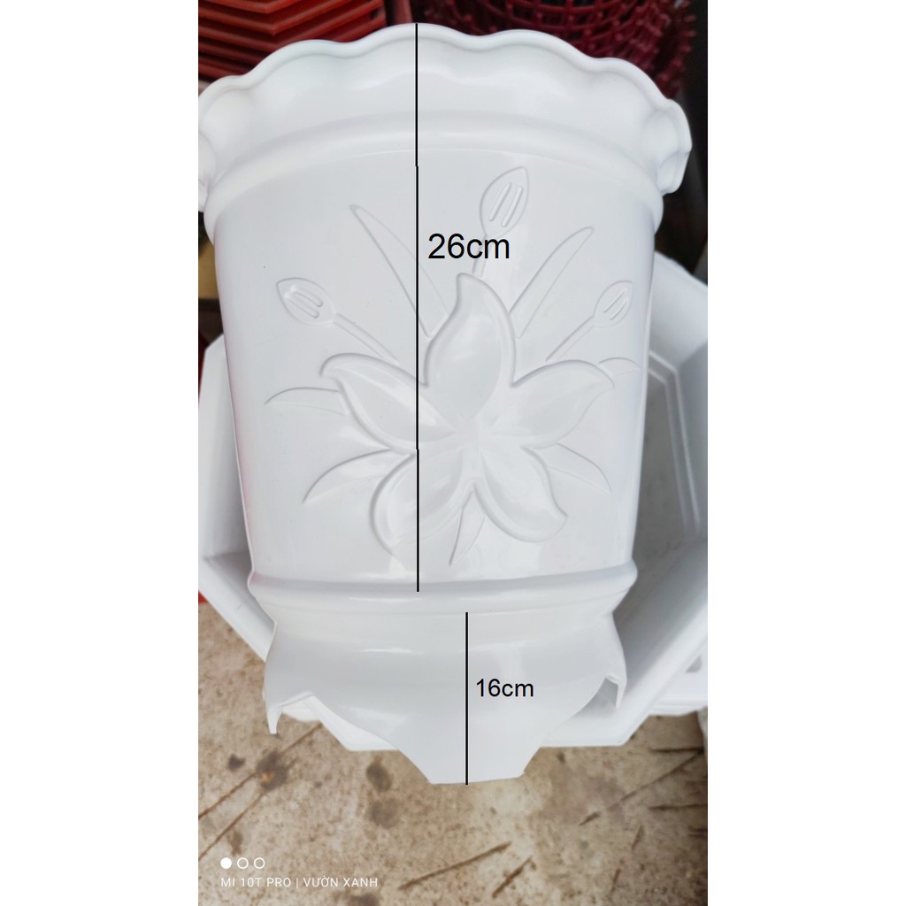 Chậu nhựa trắng 3 chân trồng hoa, cây cảnh DK miệng 29cm