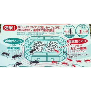 Thuốc Diệt Kiến Nhật Bản