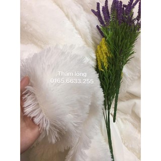 Thảm Lông Chụp hình- Thảm Trắng Sợi  giá rẻ
