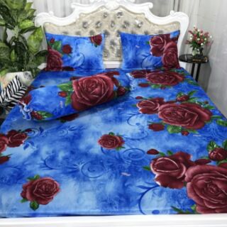 Combo sỉ 3 bộ grap thun hàn