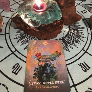 Bộ Bài The Spirit Animal Oracle (Guu Tarot Shop)