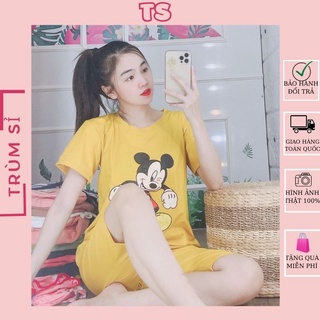 Đồ Bộ Nữ, Đồ bộ thun cotton, set bộ mặc nhà đẹp
