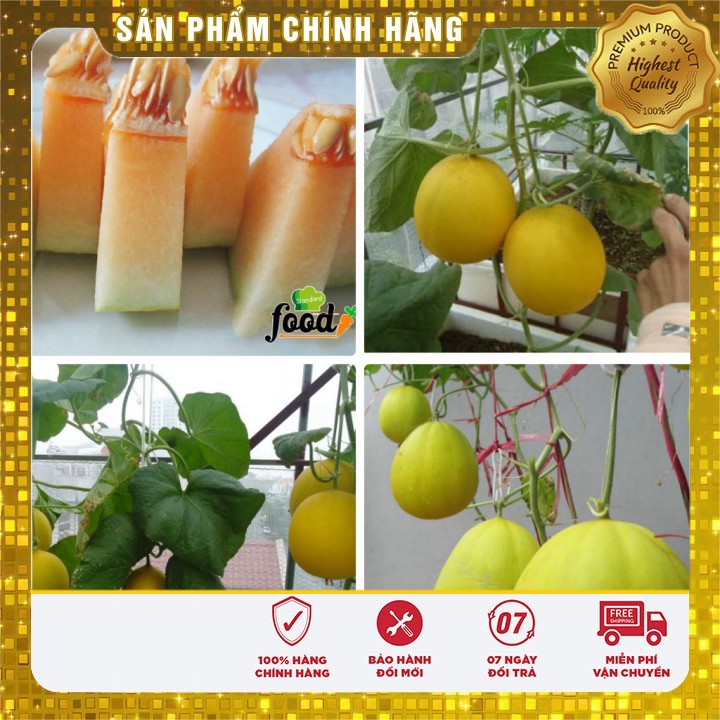 Hạt giống Dưa Kim Cô Nương ( 10 hạt)