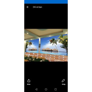 Tranh dán tường 3D tường hoa