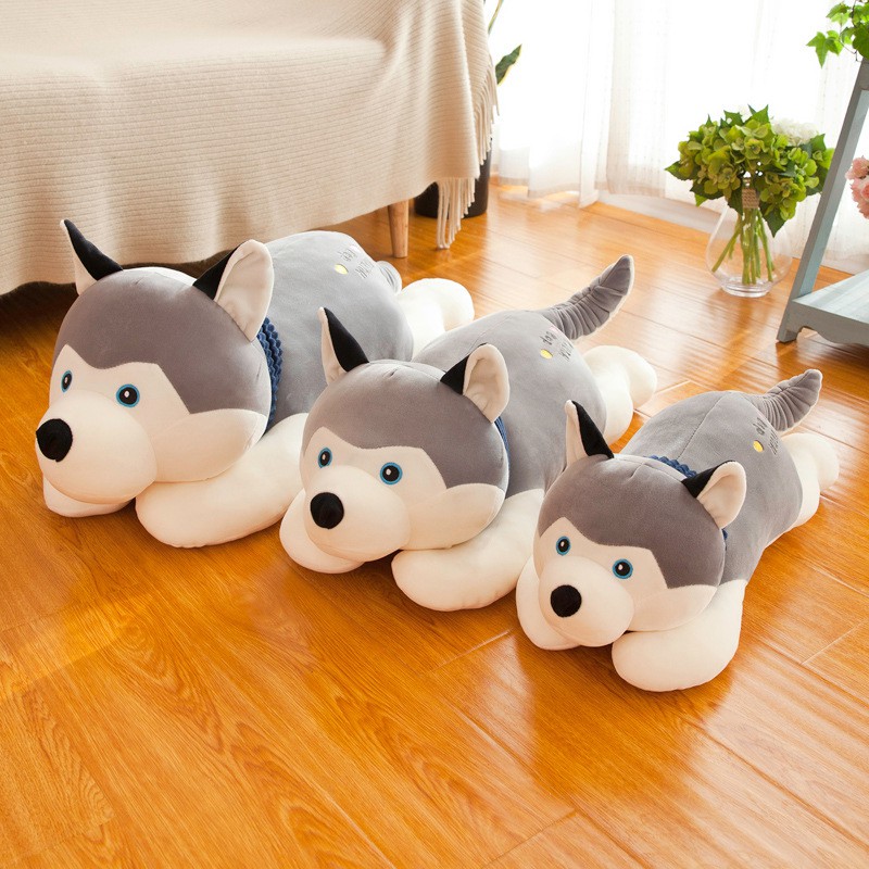 Gấu Bông Chó Bông Husky Dễ Thương Size 50cm PA9442