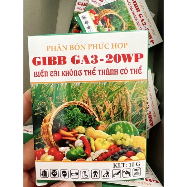 Viên Sủi GIBB GA3 20wp (Mỹ)- viên lớn 10gr VIÊN SỦI GA3 THÁI VIÊN KÉO CỰC MẠNH HIỆU QUẢ TỨC THÌ