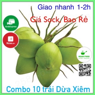 [Giá Shock] Combo 10 Trái Dừa Xiêm Xanh, Chuẩn Dừa Xiêm Bến Tre, mỏng vỏ, Nước Nhiều, Giao Nhanh Hoả Tốc 1-2h (HCM)