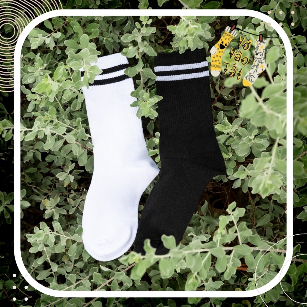 TẤT VỚ SỌC NGANG UNISEX TRẮNG ĐEN