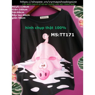 áo thun heo dễ thương bigsize KY25