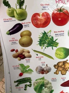 Bộ tranh treo tường cho bé