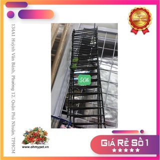 Cầu thang vẹt gỗ 74cm