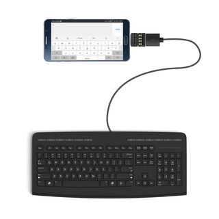 Đầu Chuyển Đổi Từ Cổng Type-C Sang USB OTG