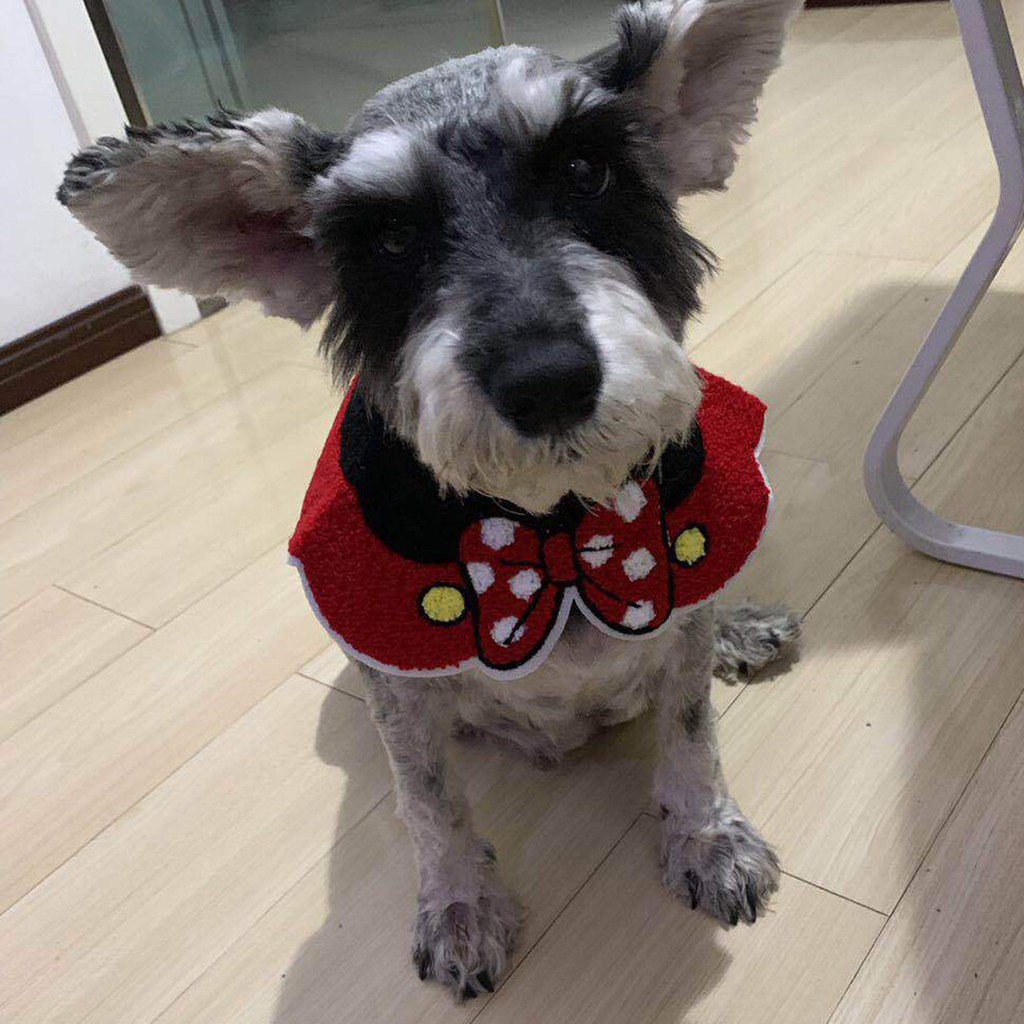 Khăn Choàng Cổ In Hình Hoạt Hình Đáng Yêu Cho Thú Cưng