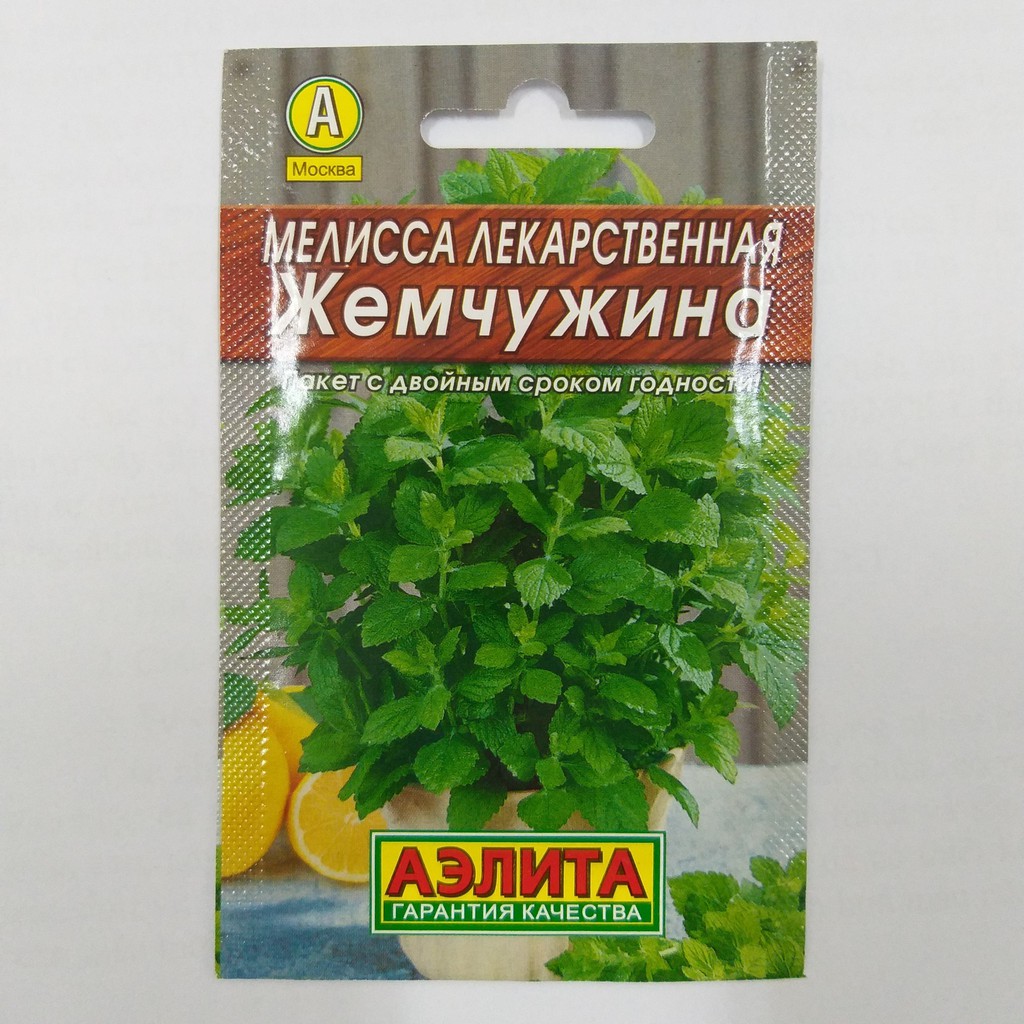 Hạt giống Bạc Hà Nga (0,1gr)