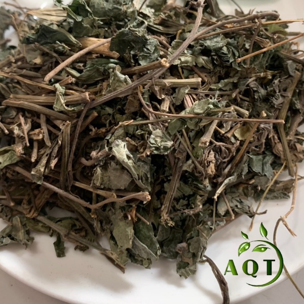 Lá Lốt 1kg  Khô Sạch, Cây Lá Lốt Hỗ Trợ Bệnh Gout, Giảm Đau Nhức Xương Khớp