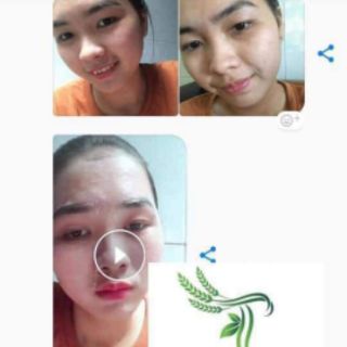 Tinh bột cám gạo lứt TT