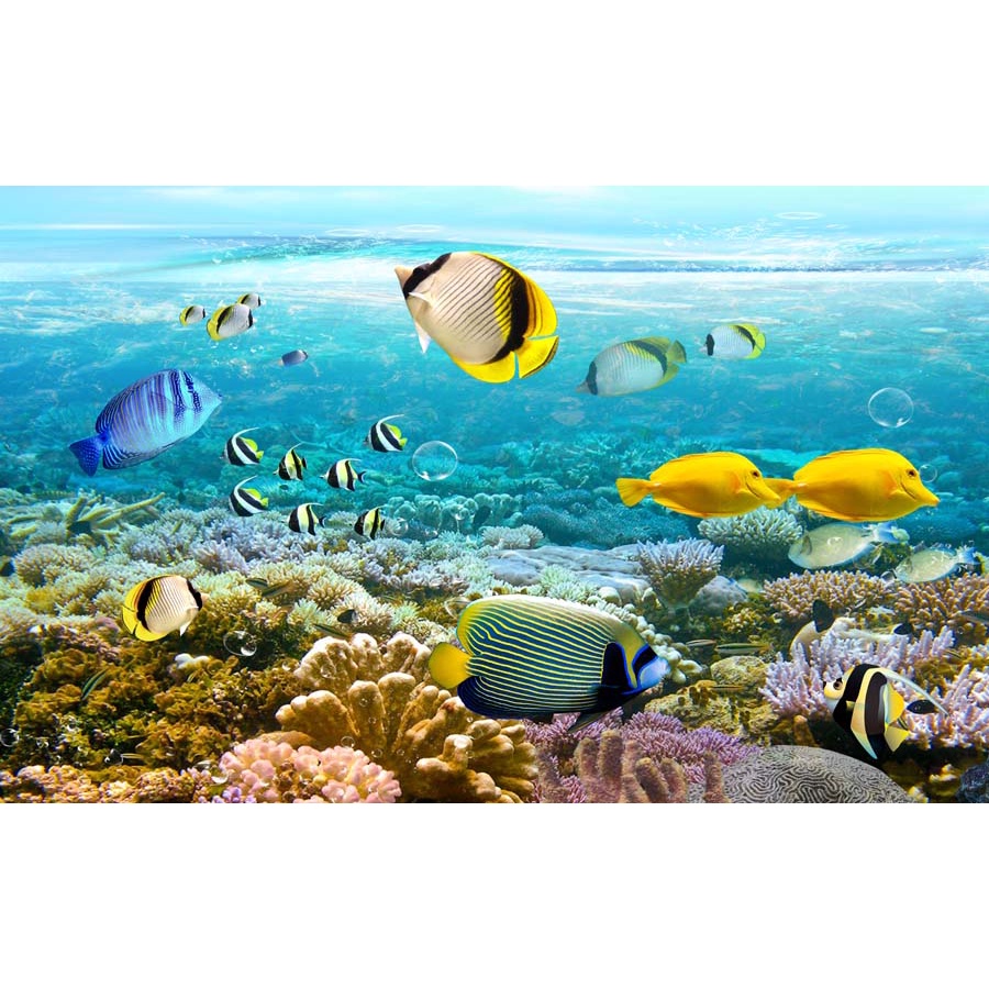 Tranh Dán Tường Thế Giới Đại Dương 3D Nhiều Kích Thước