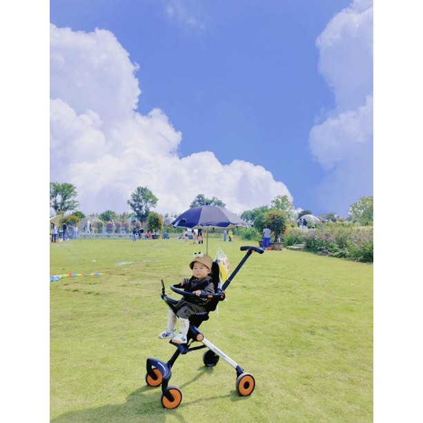 XE ĐẨY CAO CẤP AMORHOME ORDER 14-20 NGÀY