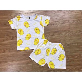 Bộ cotton giấy cheryshop
