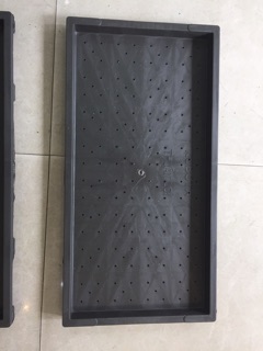 Khay trồng cỏ lúa mì, rau mầm