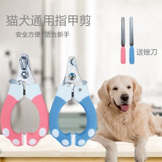 Kéo cho chó mèo, kéo cắt móng cho chó mèo, dụng cụ cắt móng inox chống cắt, bộ bấm móng tay cho chó loại vừa và nhỏ