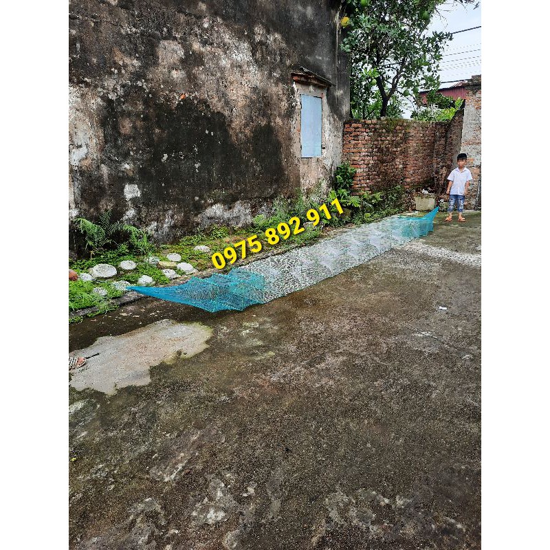 Bát quái khung - nhập khẩu israel