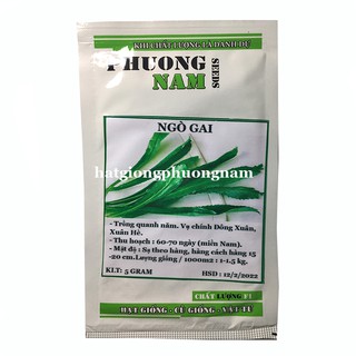 Hạt giống Mùi tàu (Ngò gai)