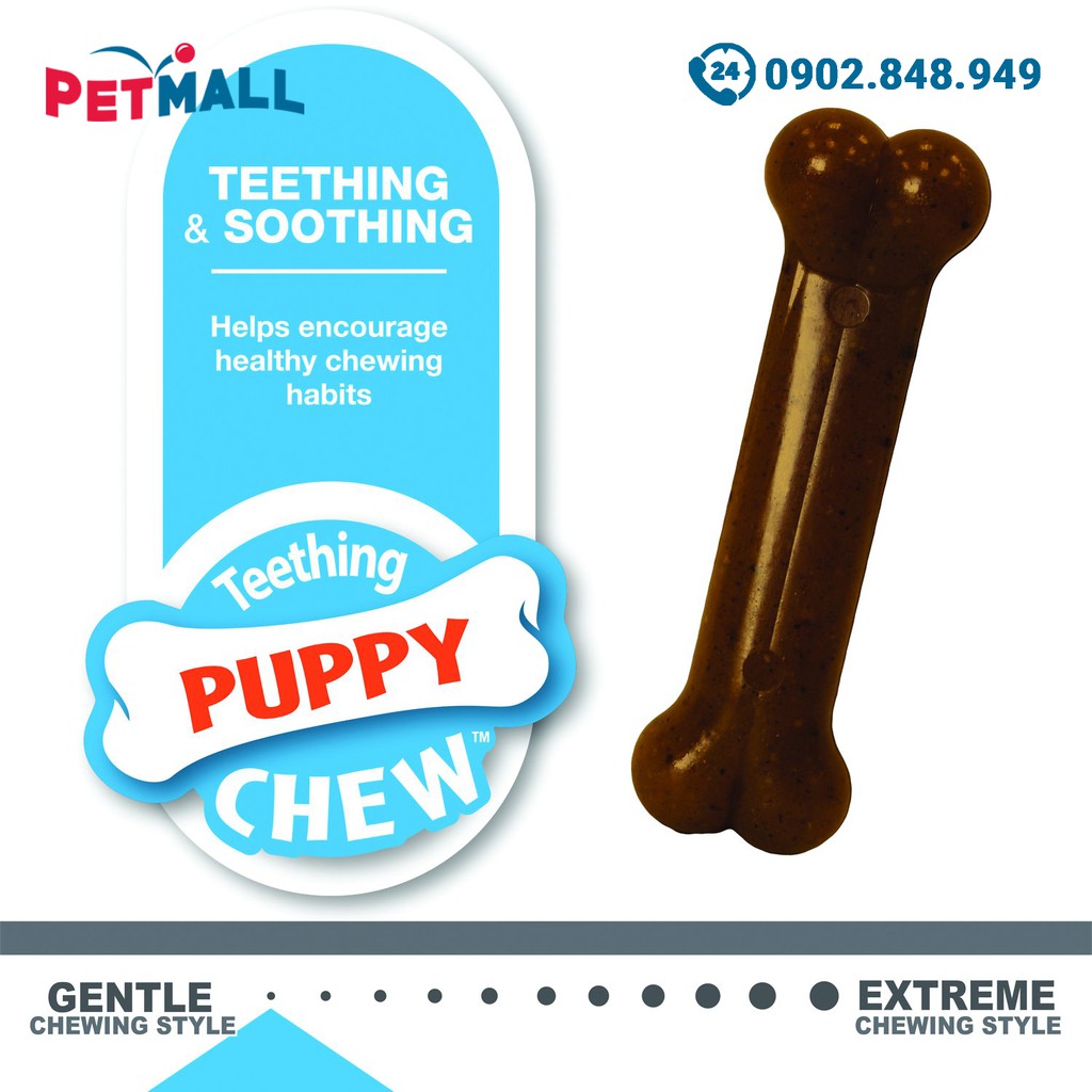 Đồ chơi xương gặm Nylabone Puppy Chew - 2 cây vị Medley Petmall