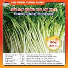 HẠT MẦM RAU MUỐNG THÁI LAN