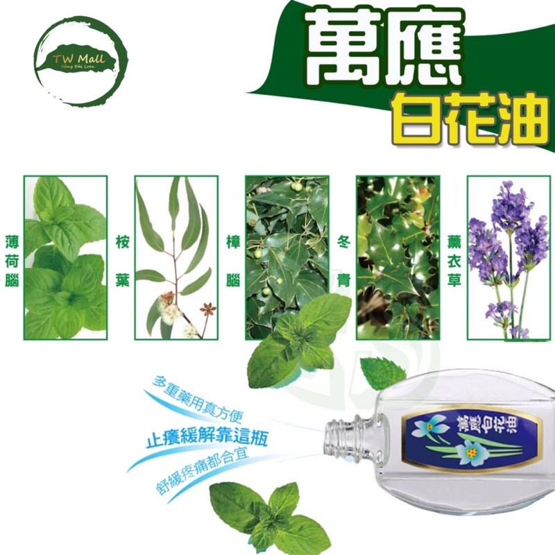 DẦU GIÓ HOA TRẮNG ĐÀI LOAN WHITE FLOWER 5ml/10ml/20ml- TW MALL