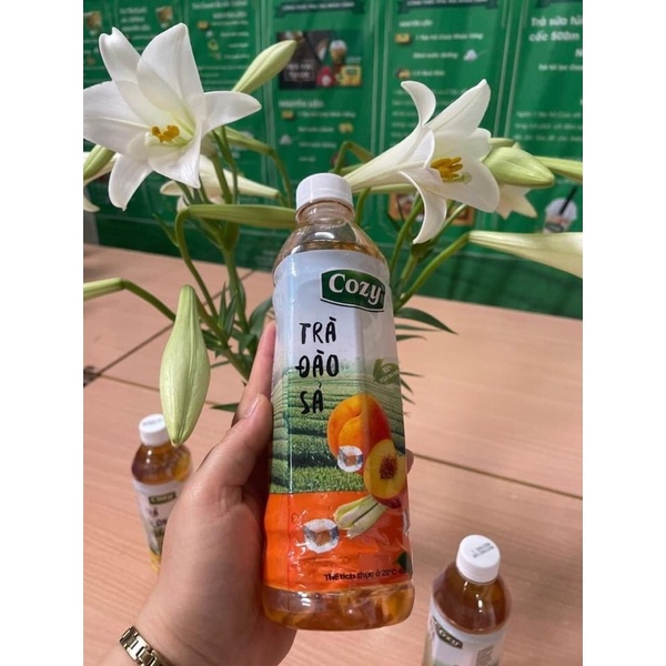 Trà cozy chai mới 350ml Thùng 24 chai