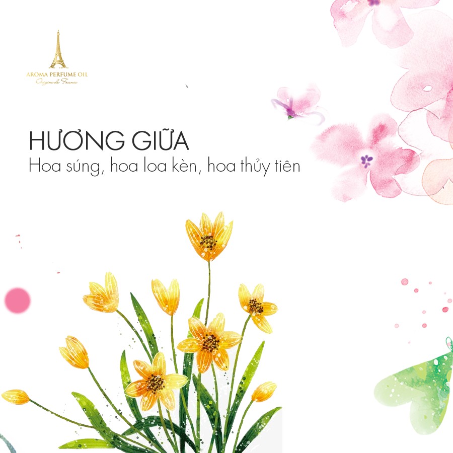 TINH DẦU NƯỚC HOA PHÁP AROMA DOLCE OIL 12ML | BigBuy360 - bigbuy360.vn